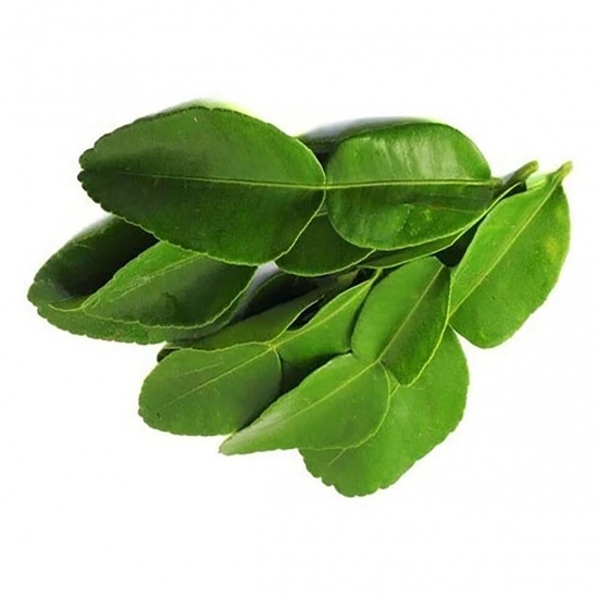 Lá chanh tươi nông trại trồng thiên nhiên